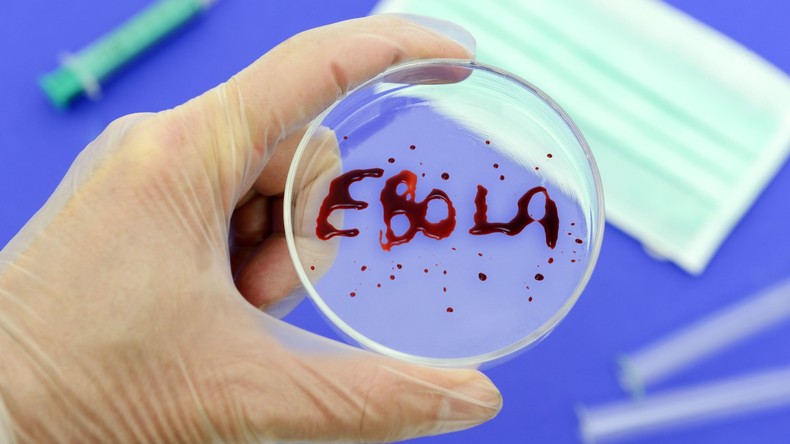 Ebola-Erreger erstmals in Fledermaus in Westafrika entdeckt