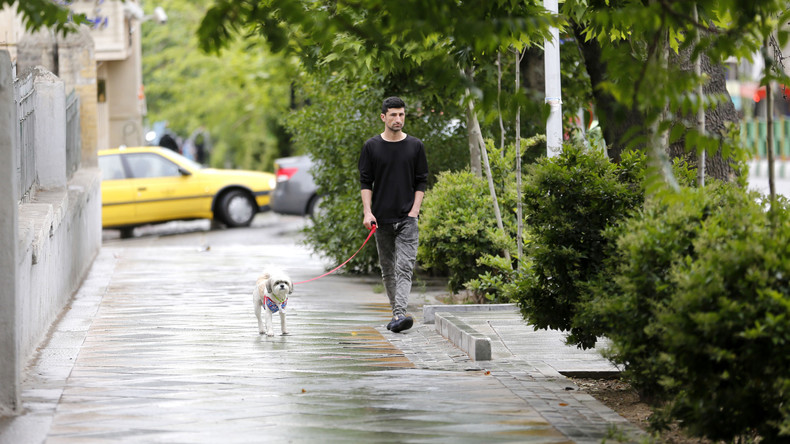 Teheran verbietet Gassi gehen mit Hunden an öffentlichen Plätzen