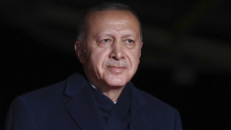 Studie zu Erdoğan-Regierung: Präsidialsystem doch nur Pyrrhussieg?