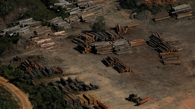 Regenwaldabholzung: EU-Abgeordnete wenden sich gegen Freihandelsabkommen mit Mercosur  