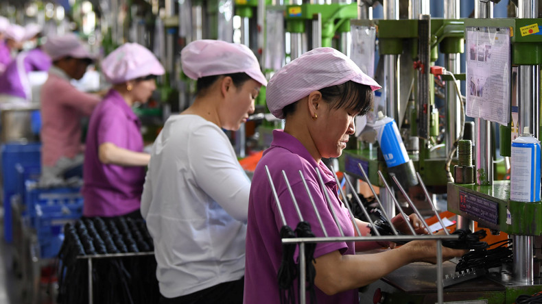 IWF: Technologiefortschritt könnte geschlechtsspezifische Beschäftigungslücke vergrößern