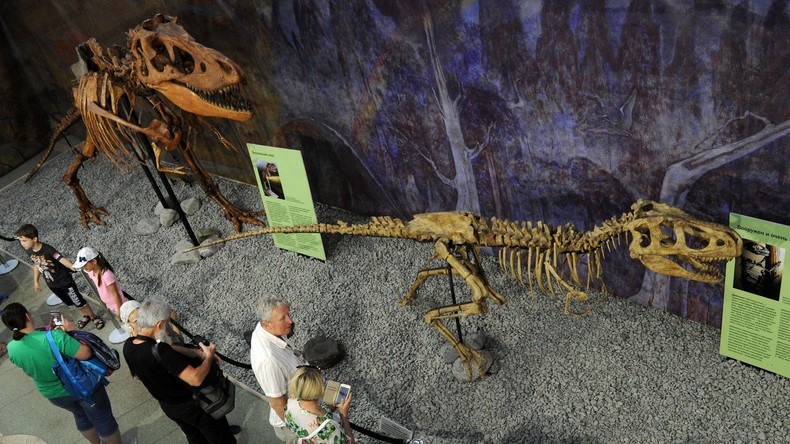 Russland: Paläontologen finden in Jakutien 130 Millionen Jahre alte Dinosaurier-Fossilien