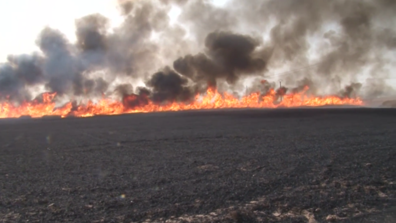 Syrien: Brände vernichten große landwirtschaftliche Nutzflächen – Ölanlagen gefährdet
