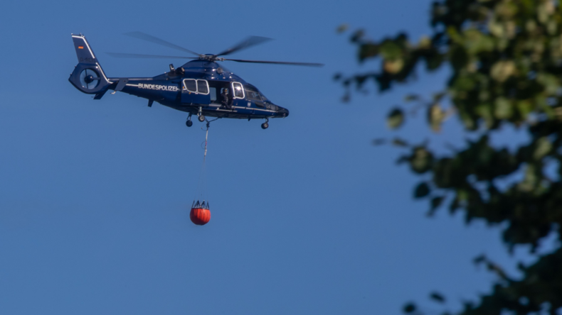 Waldbrand in Mecklenburg eingegrenzt – Einsatzkräfte hoffen auf Regen