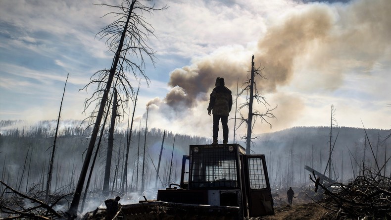 Erderwärmung, Kriminelle oder Fahrlässigkeit: Warum brennen die Wälder in Sibirien?
