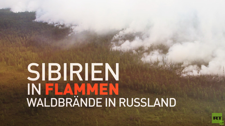 Sibirien in Flammen: Waldbrände in Russland