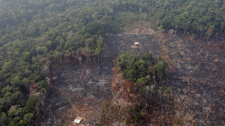 Katastrophe mit Ansage: Brände im Amazonas könnten globale Konsequenzen haben