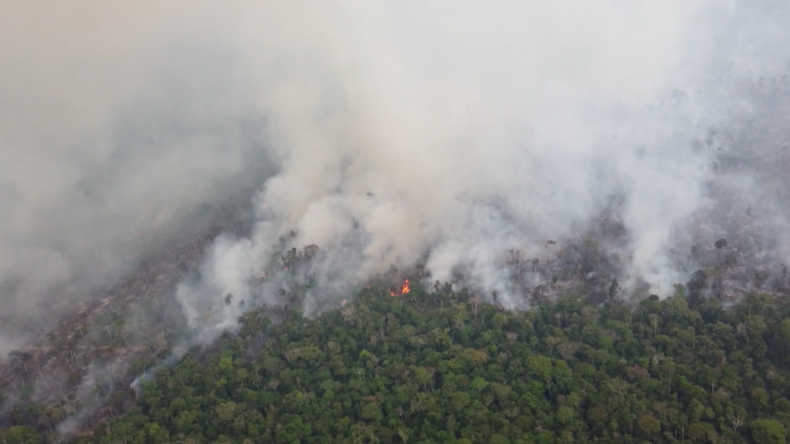 Schwere Brände im Amazonas-Regenwald: Luftaufnahmen zeigen zerstörte Waldflächen in Brasilien