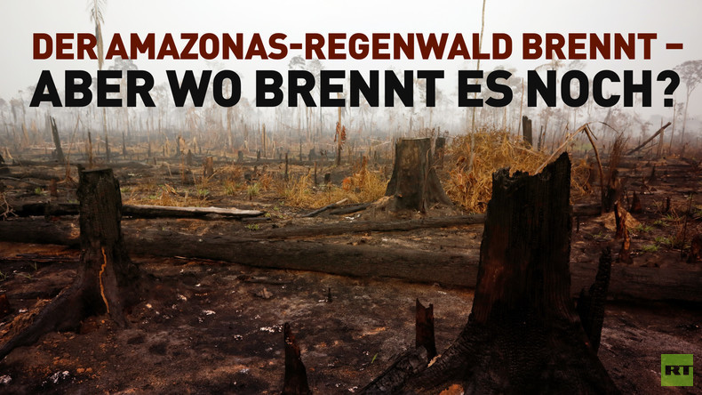 Der Amazonas-Regenwald brennt – aber wo brennt es noch?