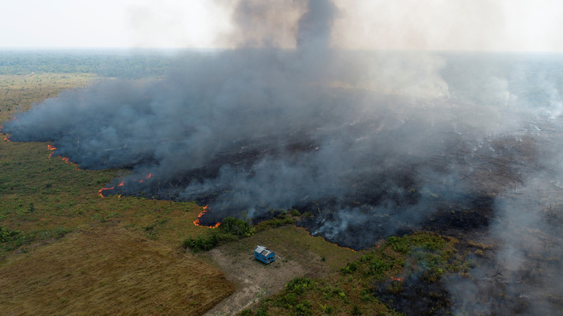 Brasilien: Die Finanzinteressen hinter dem Amazonas-Feuer (Video)