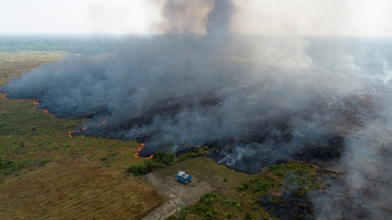 Brasilien: Die Finanzinteressen hinter dem Amazonas-Feuer (Video)
