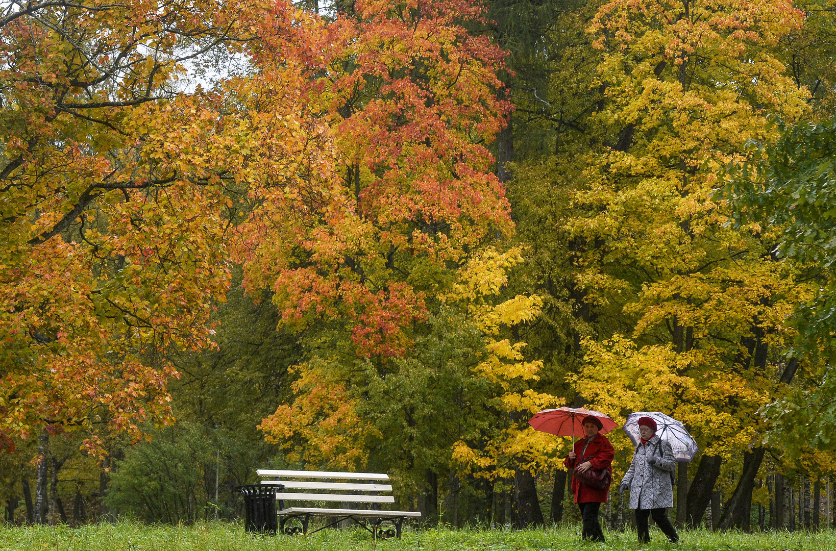 Autumn 18. Последняя осень фото. Последние осенние. Фото пейзаж осени для устного говорение. Autumn cloudy.