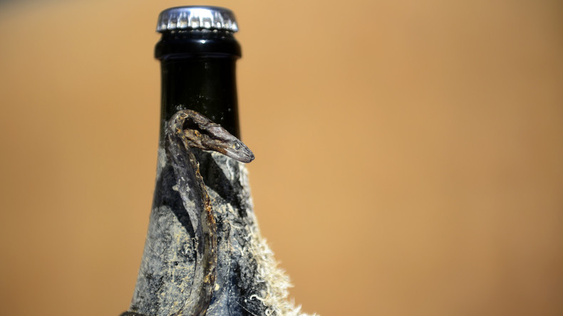 Taucher bergen 900 Flaschen mit edlen Spirituosen nach 100 Jahren auf Meeresgrund