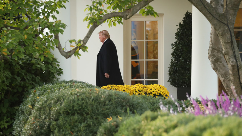 Trump allein zu Haus, belauert vom Tiefen Staat