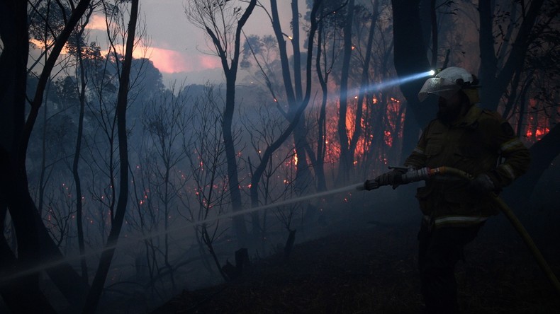 Buschbrände in Australien: Mehrere Tote, mehr als 100 Häuser und Koala-Lebensraum zerstört