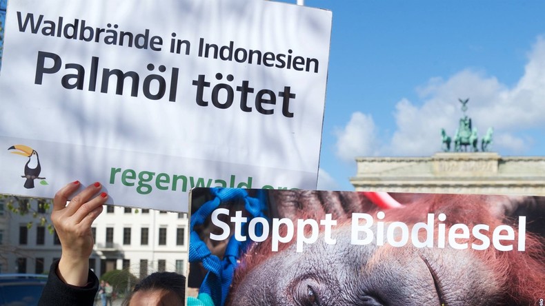 Protektionismus oder Umweltschutz? EU erhebt Zölle auf Biodiesel mit Palmöl (Video)