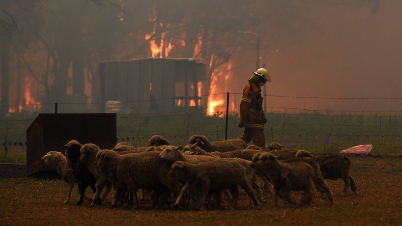 Brände in Australien breiten sich aus – Regierung kündigt Entschädigungen für Helfer an