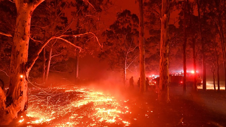 Mitten aus dem Feuer: Aufnahmen aus Australien schockieren die Welt (Video)