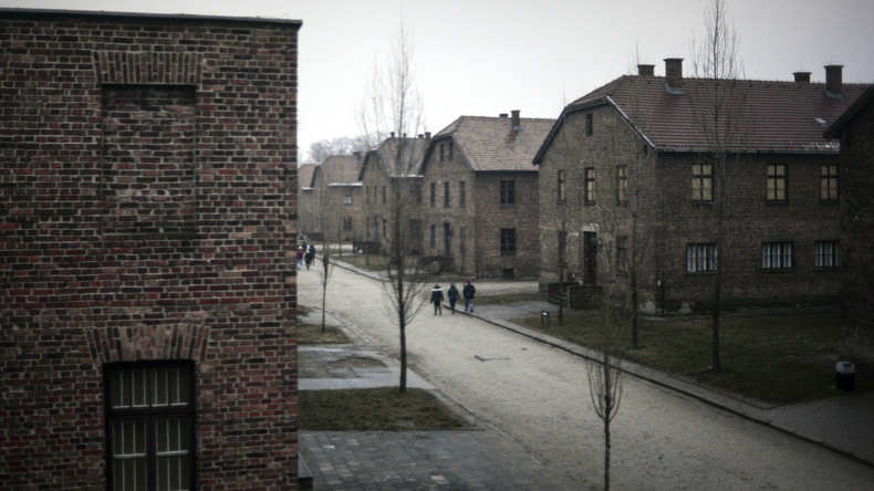 "Brandgeruch war überall unser Begleiter": Zeitzeugen erinnern sich an Auschwitz-Befreiung (Video)