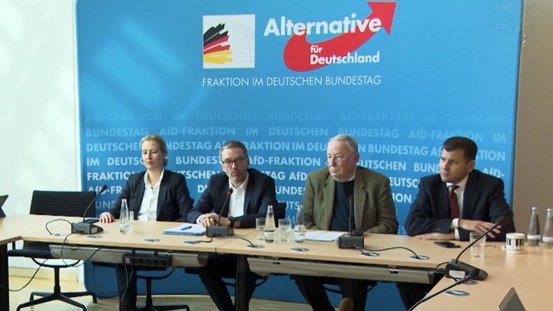 "Grenzschutz in Europa": AfD und FPÖ wollen Zusammenarbeit intensivieren (Video)