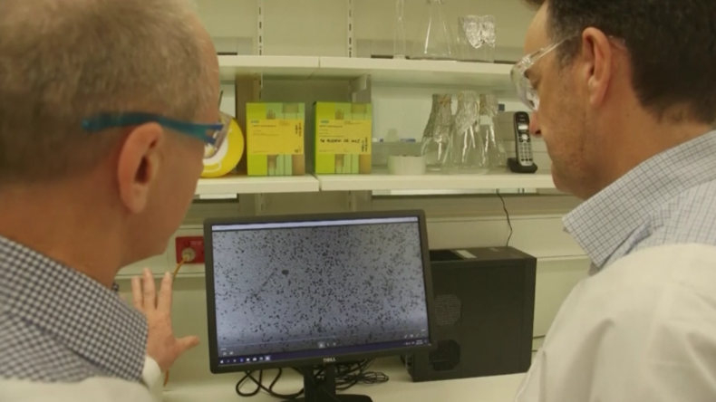 Australien: Haben Coronavirus im Labor gezüchtet, nun arbeiten wir an einer Impfung