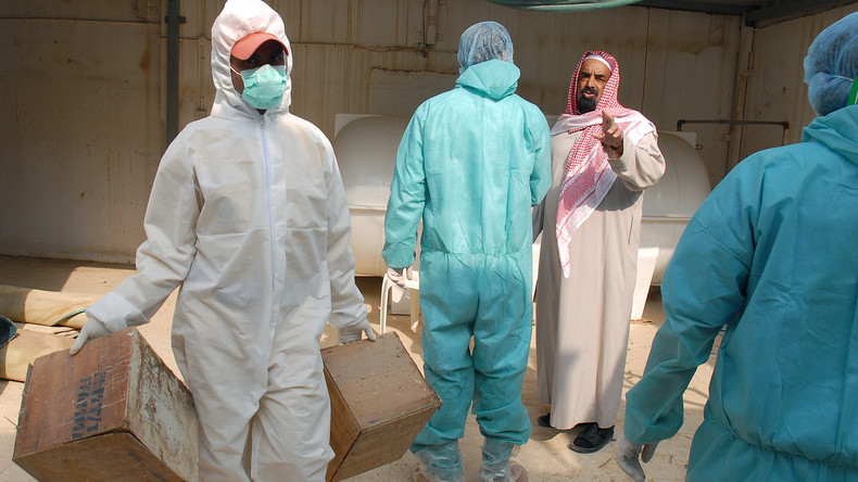 Saudi-Arabien meldet Ausbruch der hochansteckenden Geflügelpest
