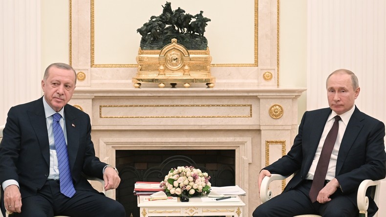 Gut getrollt, Löwe! Putin empfing Erdoğan im Zeichen der russisch-türkischen Kriege