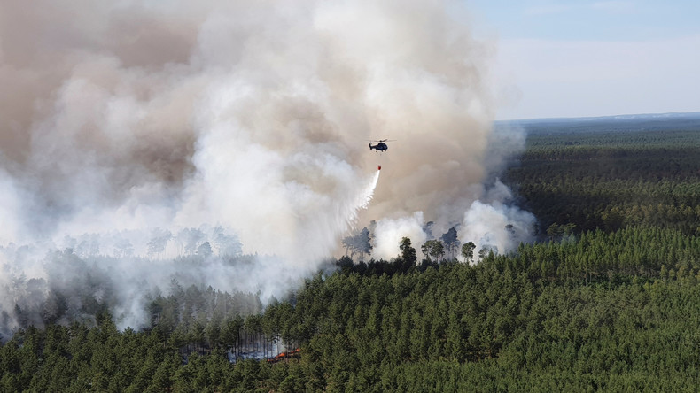 Auch 2020 wird ein Waldbrandjahr – nicht nur in Brandenburg bereits jetzt "knochentrocken"