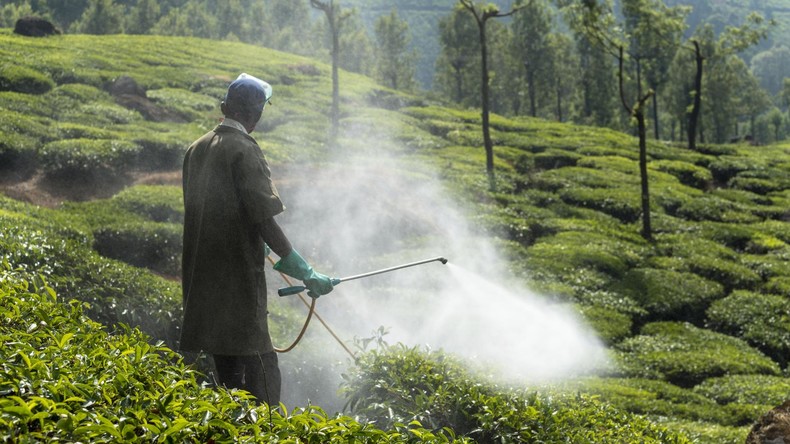 Verbotene Pestizide: Profite vor Menschenleben – wo sie weniger wert sind