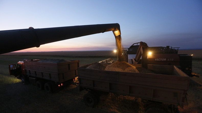 Bringen russische Getreideexportbeschränkungen die globale Ernährungssicherheit in Gefahr?