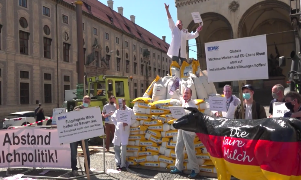 München: "Kurz vor Milchkrise" – Milchbauern fordern EU-weite Drosselung der Überproduktion