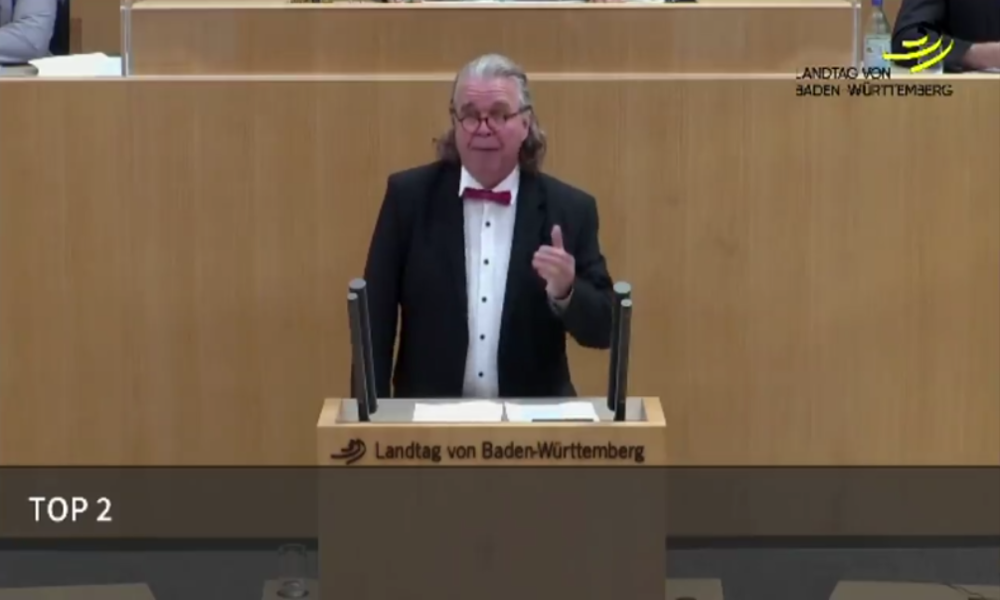 Ex-AfDler fliegt wegen Wutrede über "von Ausländern dominierte Mobs" in Stuttgart aus Landtag