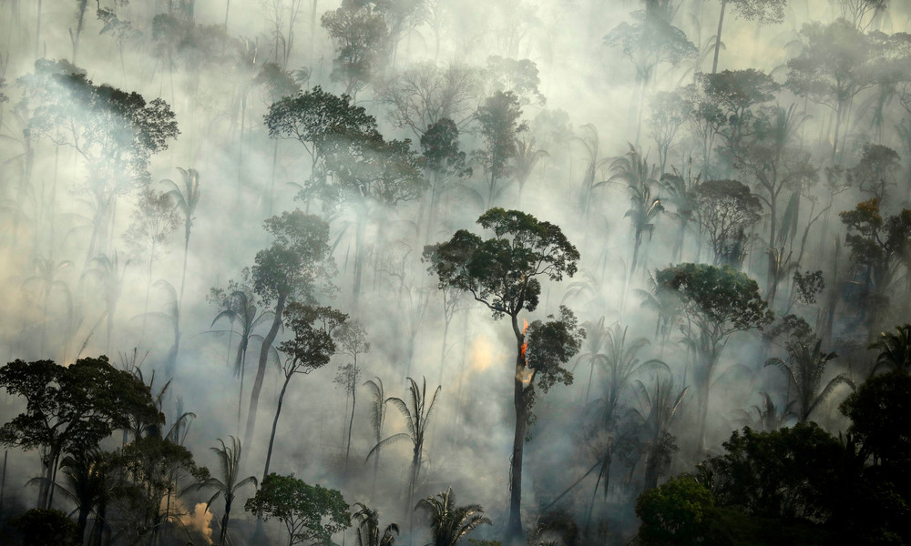 Amazonas-Gebiet: Schlimmste Waldbrände seit 13 Jahren