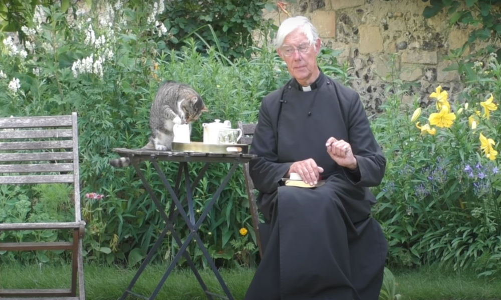 Die Milch der unfrommen Denkart: Kater zeigt schlechte Tischmanieren bei Online-Predigt