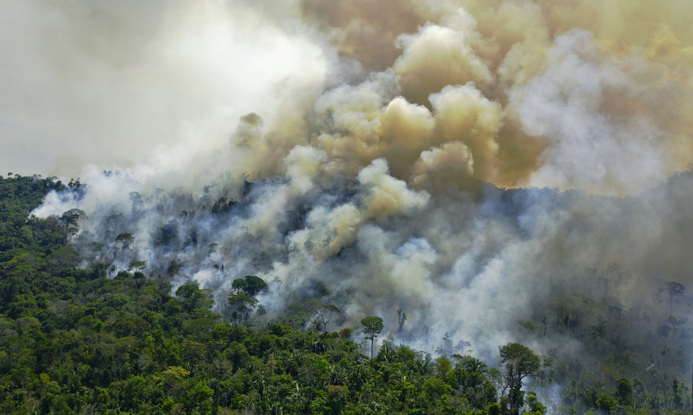 Brasilien: Tag des Amazonas-Regenwaldes wird von andauernden Bränden überschattet