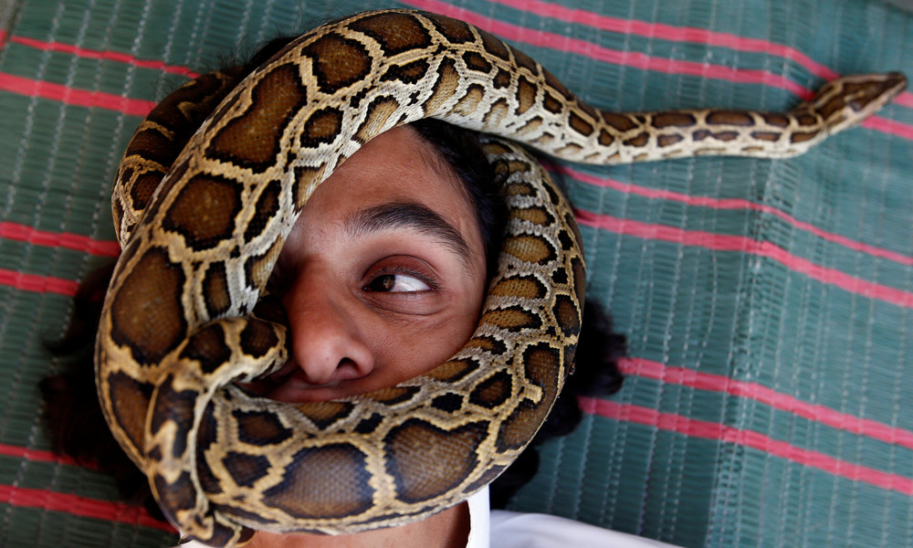 Maskenpflicht macht erfinderisch: Mann benutzt Schlange als Mundschutz