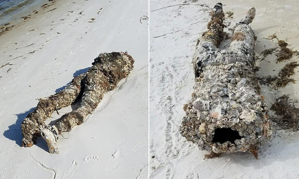 Eine Leiche am Strand? Badegast alarmiert Polizei – Umweltaktivistin löst Fall an Ort und Stelle