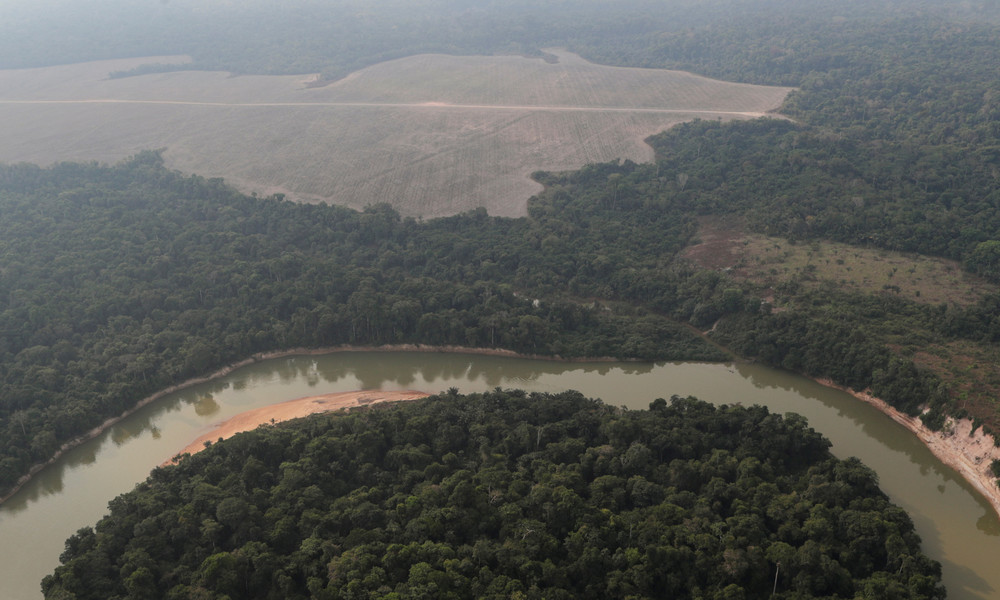 Drei Fußballfelder pro Minute: Abholzung im brasilianischen Amazonasgebiet auf Höchststand seit 2008