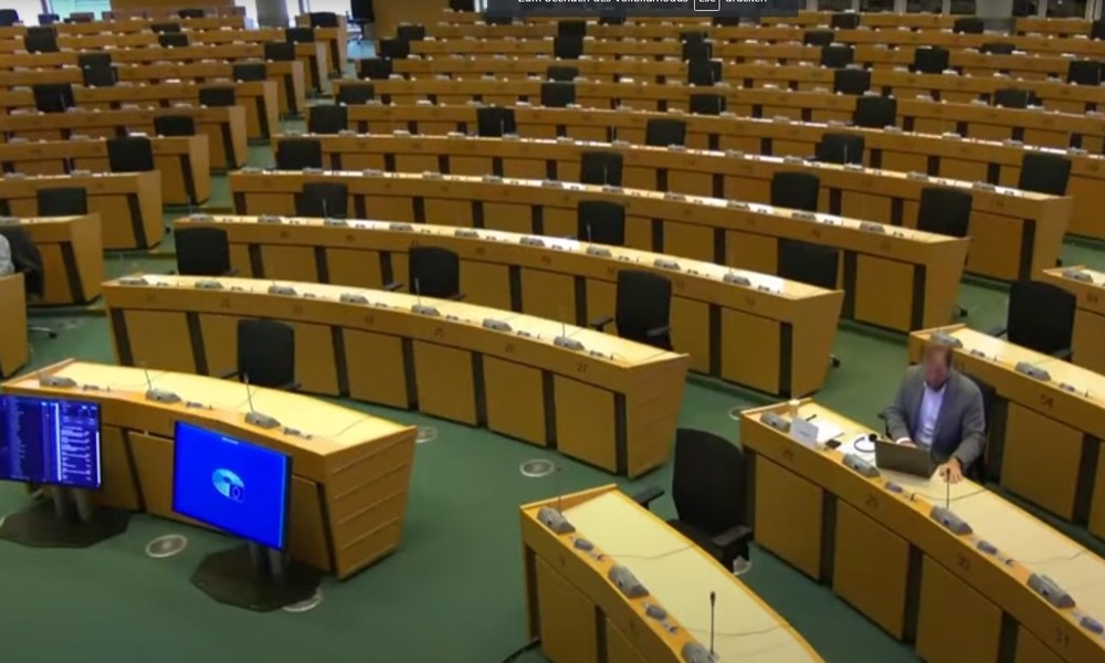 Don Quijote im EU-Parlament: Viel Spekulation, aber keine Fakten zur "russischen Einflussnahme"