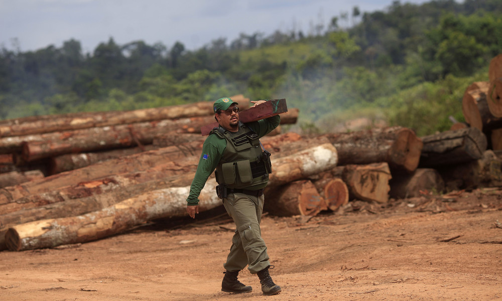 Illegale Abholzung: Brasilianische Polizei beschlagnahmt mehr als 6.200 Lkw-Ladungen Holz