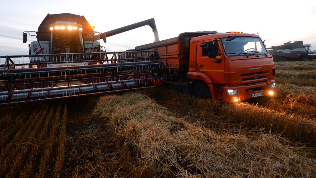 Russland verdoppelt Weizen-Exportsteuer zur Stabilisierung der heimischen Lebensmittelpreise
