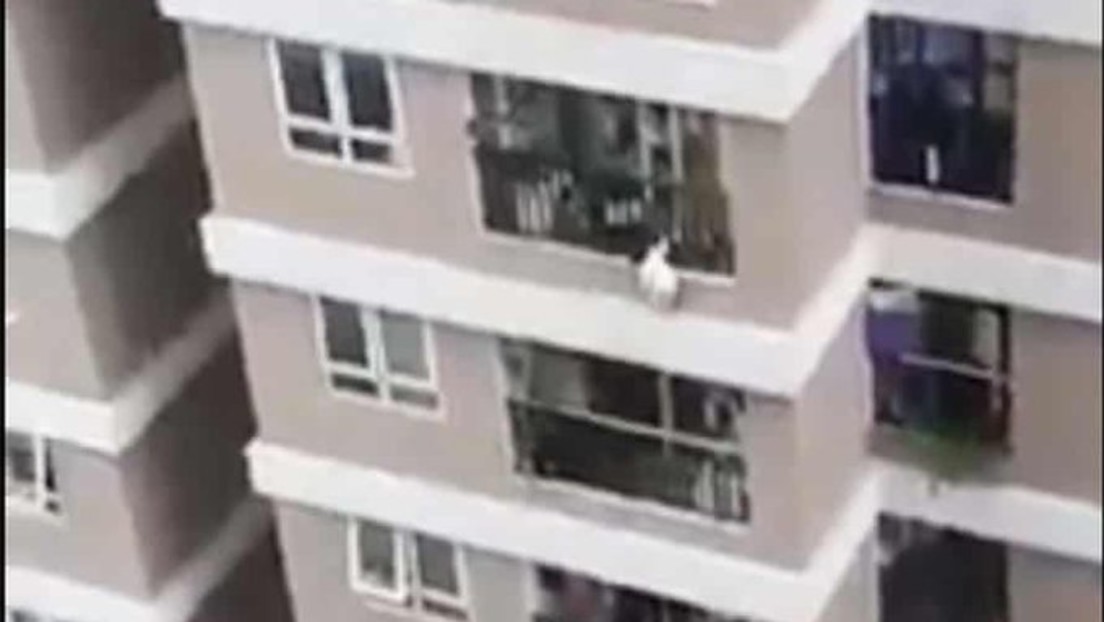 Superheld aus Vietnam: Mann fängt zweijähriges Kleinkind beim Sturz aus zwölftem Stock auf (Video)