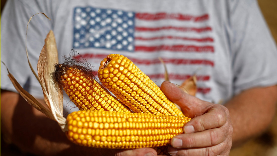 Monsanto-Lobby erfolgreich: USA üben Druck auf Costa Rica aus wegen Moratorium für Gen-Nahrung