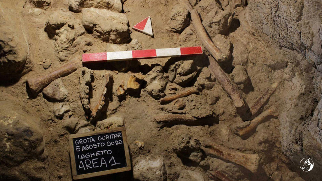 Neandertaler als Beute für Hyänen? – Spektakuläre Funde in italienischer Höhle