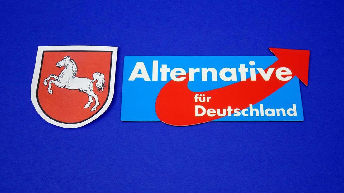 "Patrioten" im Untergrund? Offiziell aufgelöster AfD-"Flügel" soll offenbar reaktiviert werden