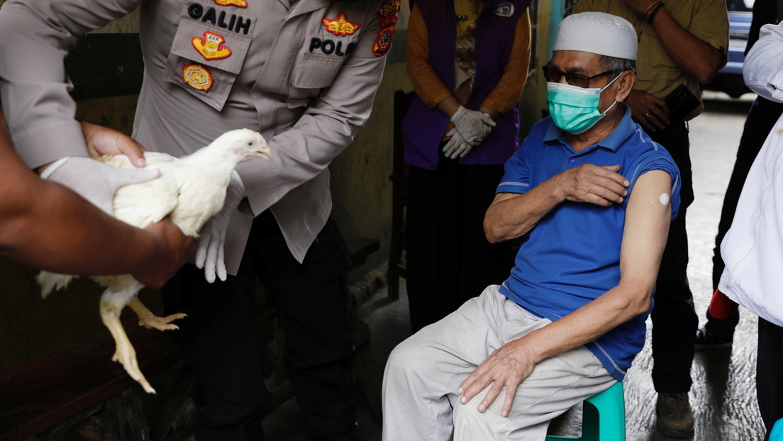 Indonesische Behörden regen Einheimische zu Corona-Impfung mit Hühnern an