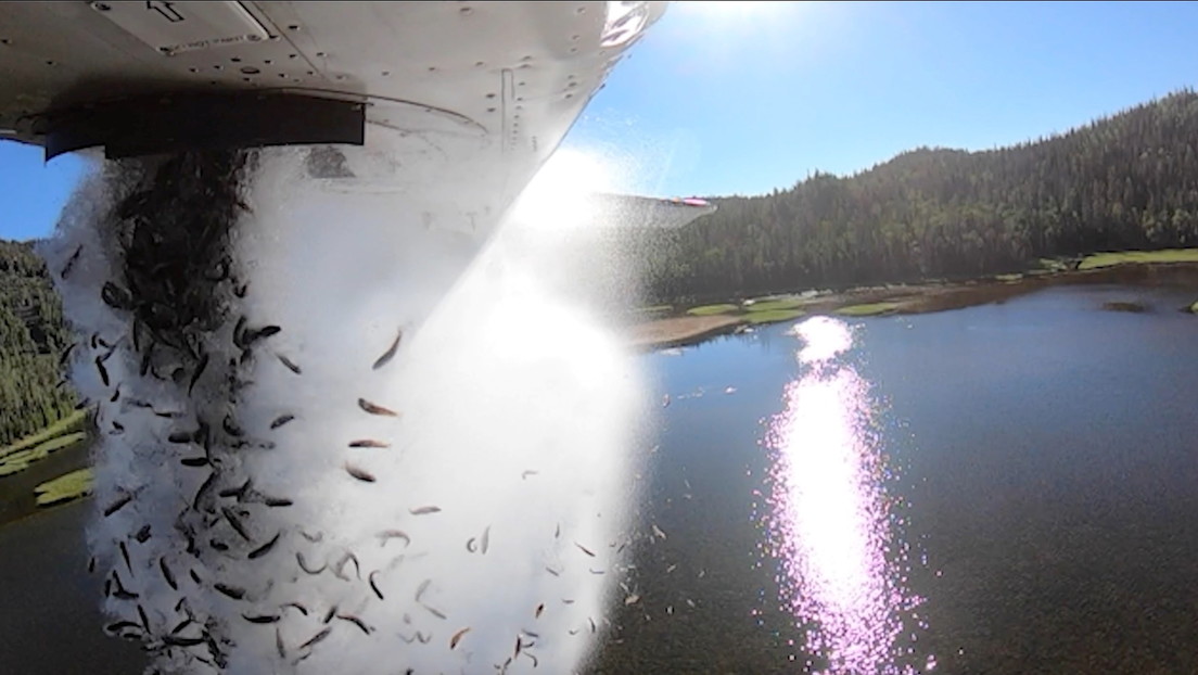 Luftlandetruppen mit Flossen: US-Behörden bombardieren Seen in Utah mit Fischen