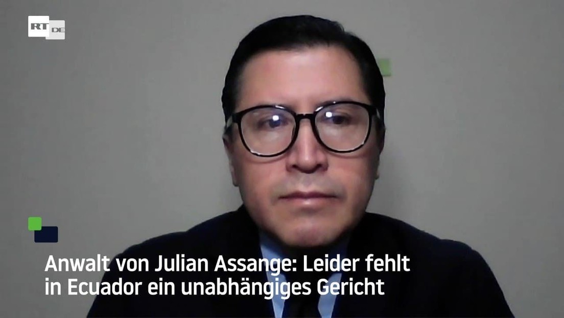 Anwalt von Julian Assange: Leider fehlt in Ecuador ein unabhängiges Gericht