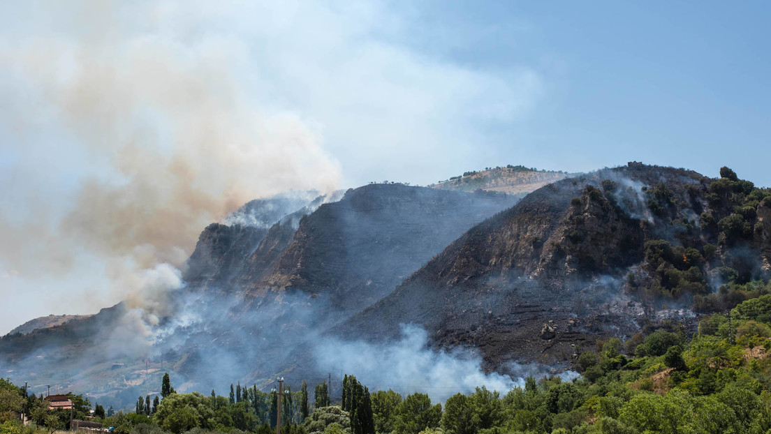 Schwere Waldbrände in Italien und der Türkei – fünf Todesopfer, Touristen werden evakuiert