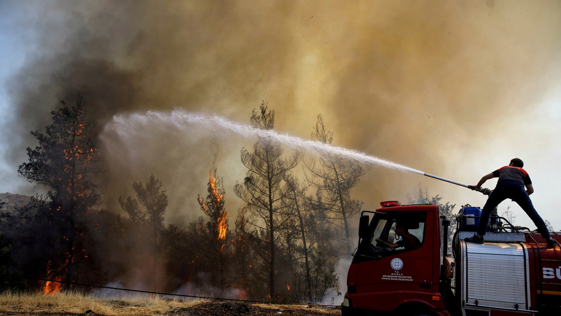 Türkische Wälder in Flammen: Werden Brände als Hebel gegen türkische Regierung benutzt?